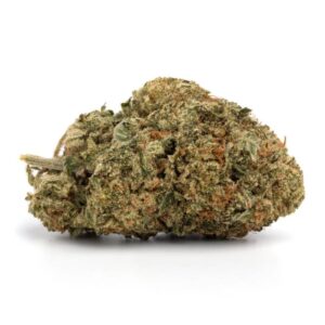 Blueberry Pie Strain